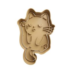 Gato Bañandose