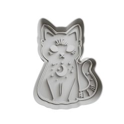 Gato  14