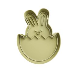 Conejo de Pascua  31