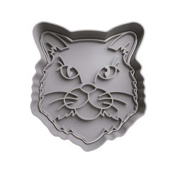 Gato  13