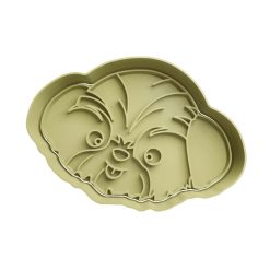 Perro Shih Tzu