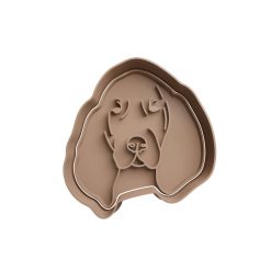 Perro Basset Hound Cachorro