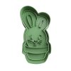 Conejo Cactus de Pascua en Maceta