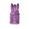 Gnomo de Pascua con Conejo