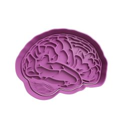 Cerebro Cortador de Galletas STL