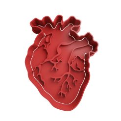 Corazon Cortador de Galletas STL